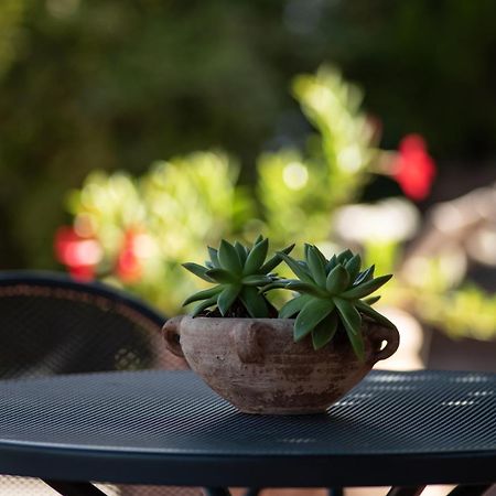 Agriturismo Il Colle Siena Kültér fotó