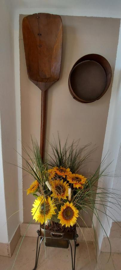 Agriturismo Il Colle Siena Kültér fotó