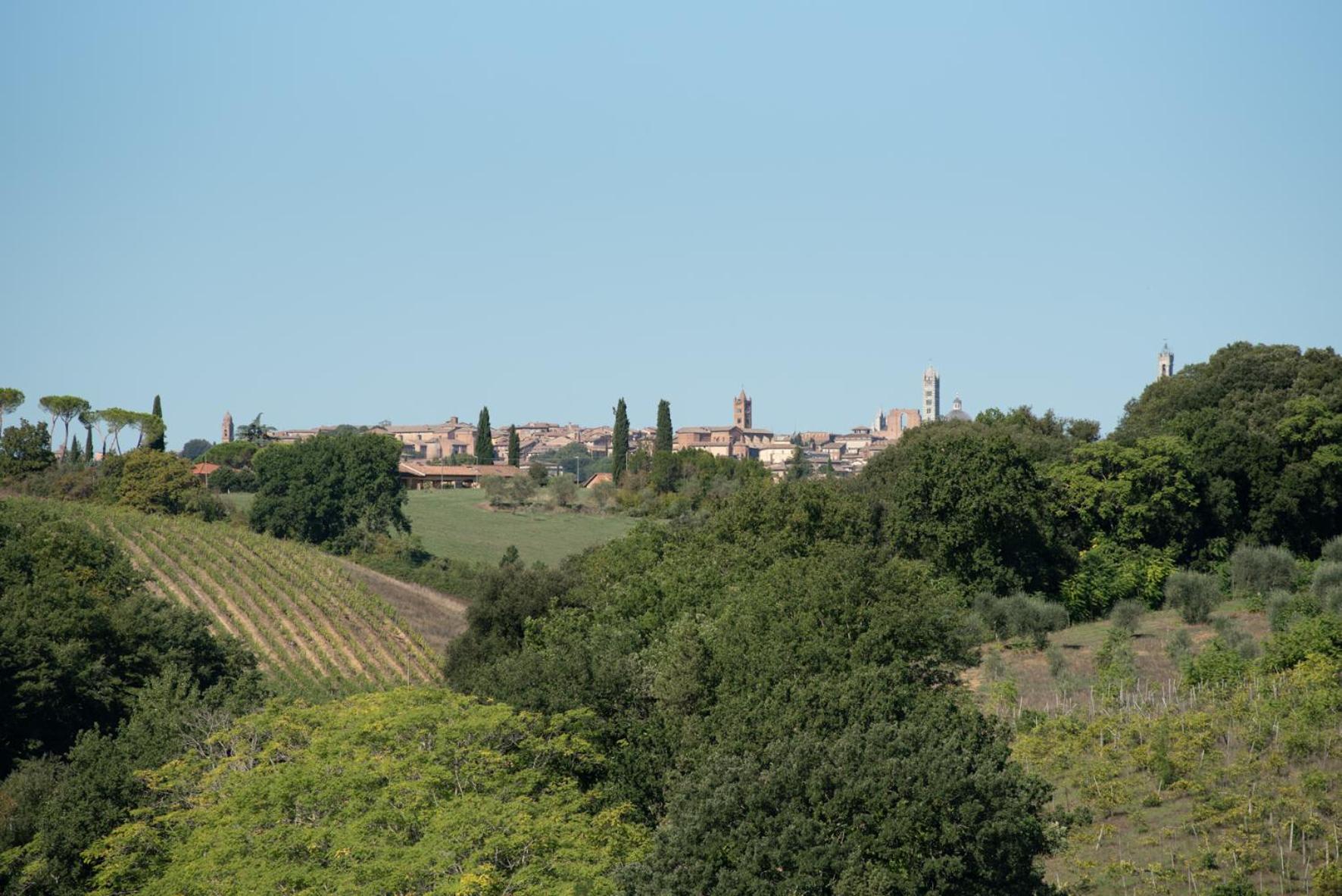 Agriturismo Il Colle Siena Kültér fotó