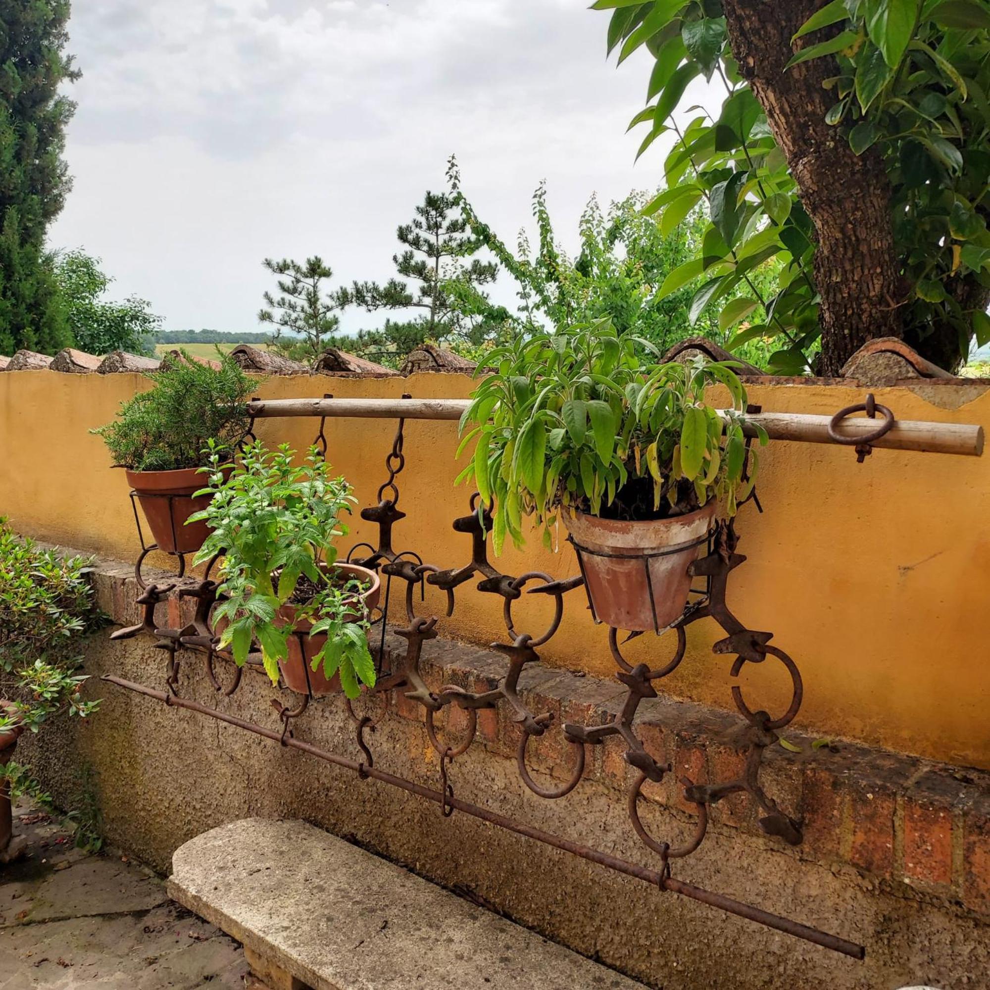 Agriturismo Il Colle Siena Kültér fotó