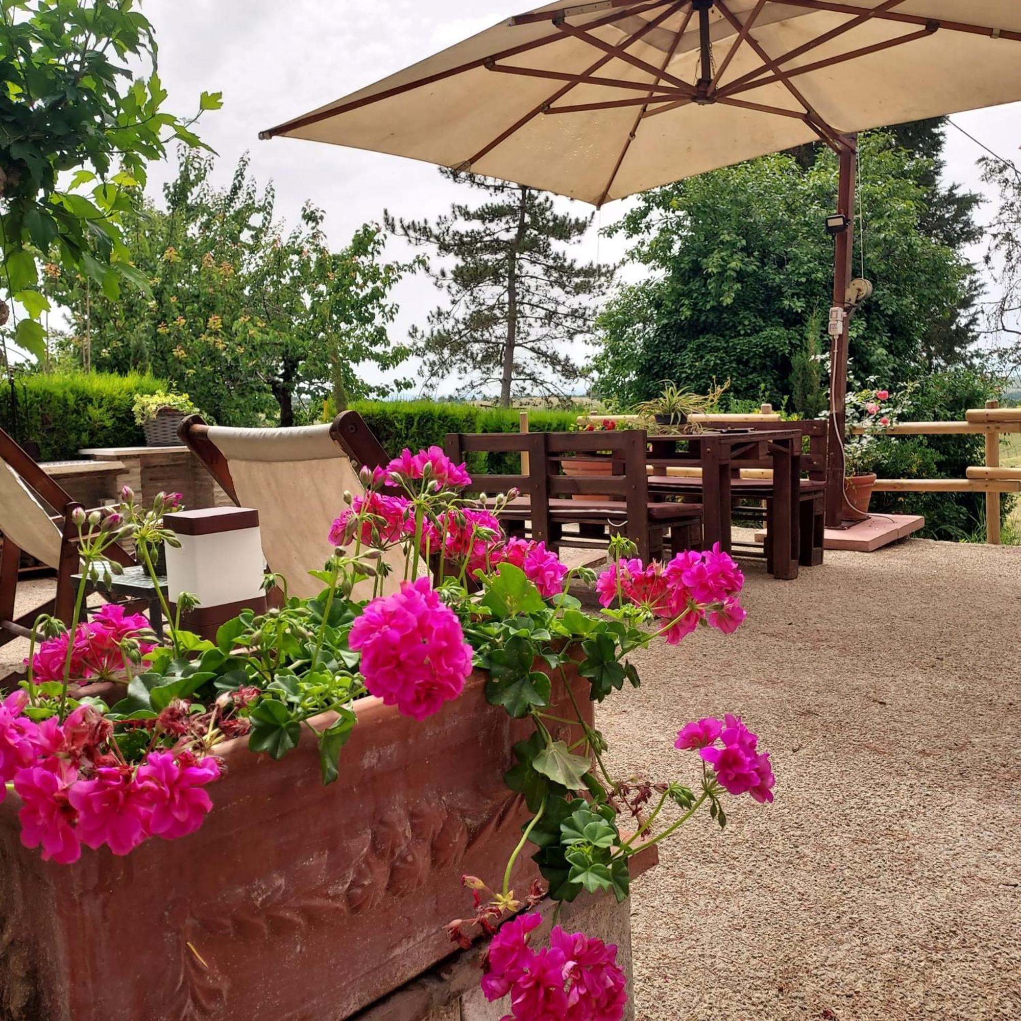 Agriturismo Il Colle Siena Kültér fotó