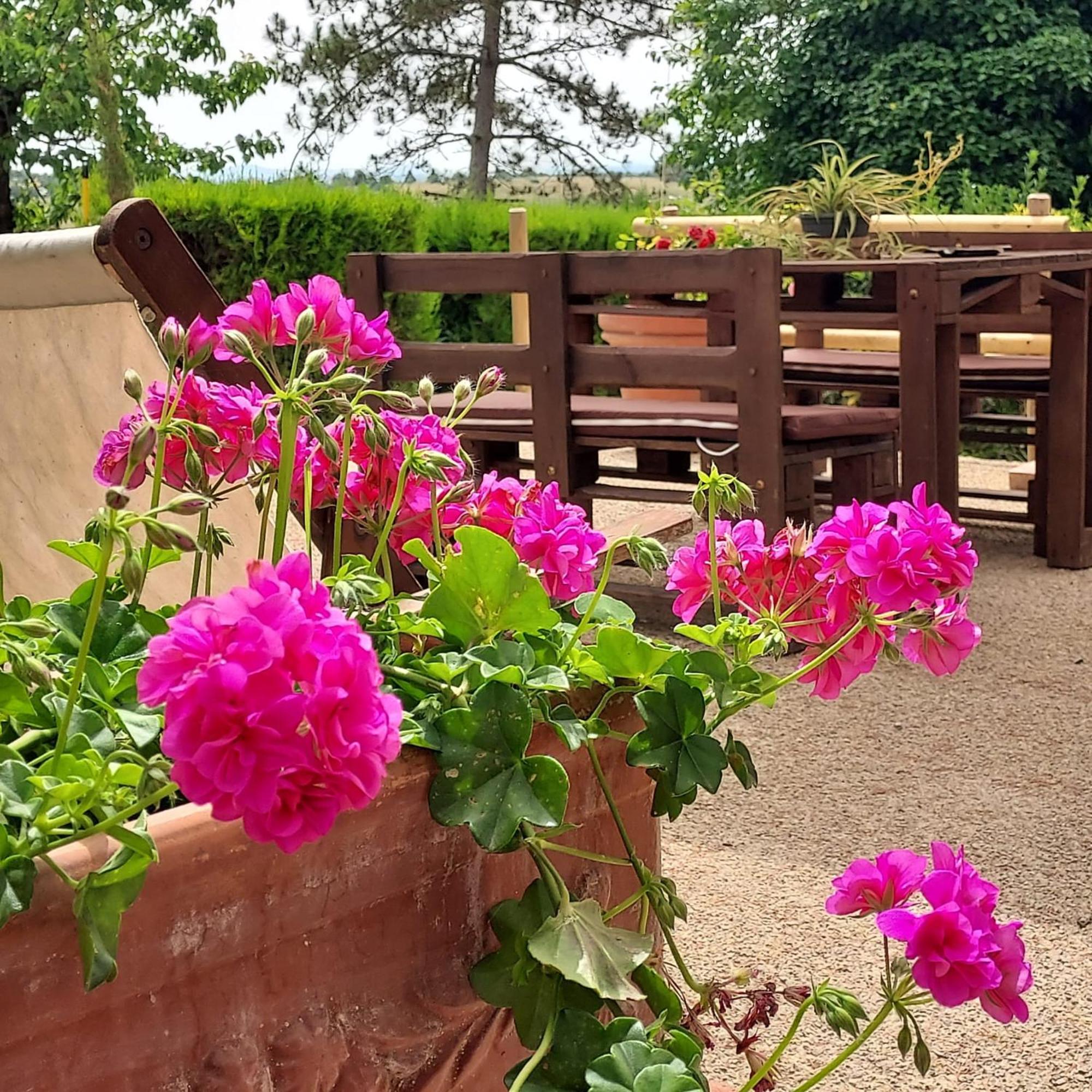 Agriturismo Il Colle Siena Kültér fotó