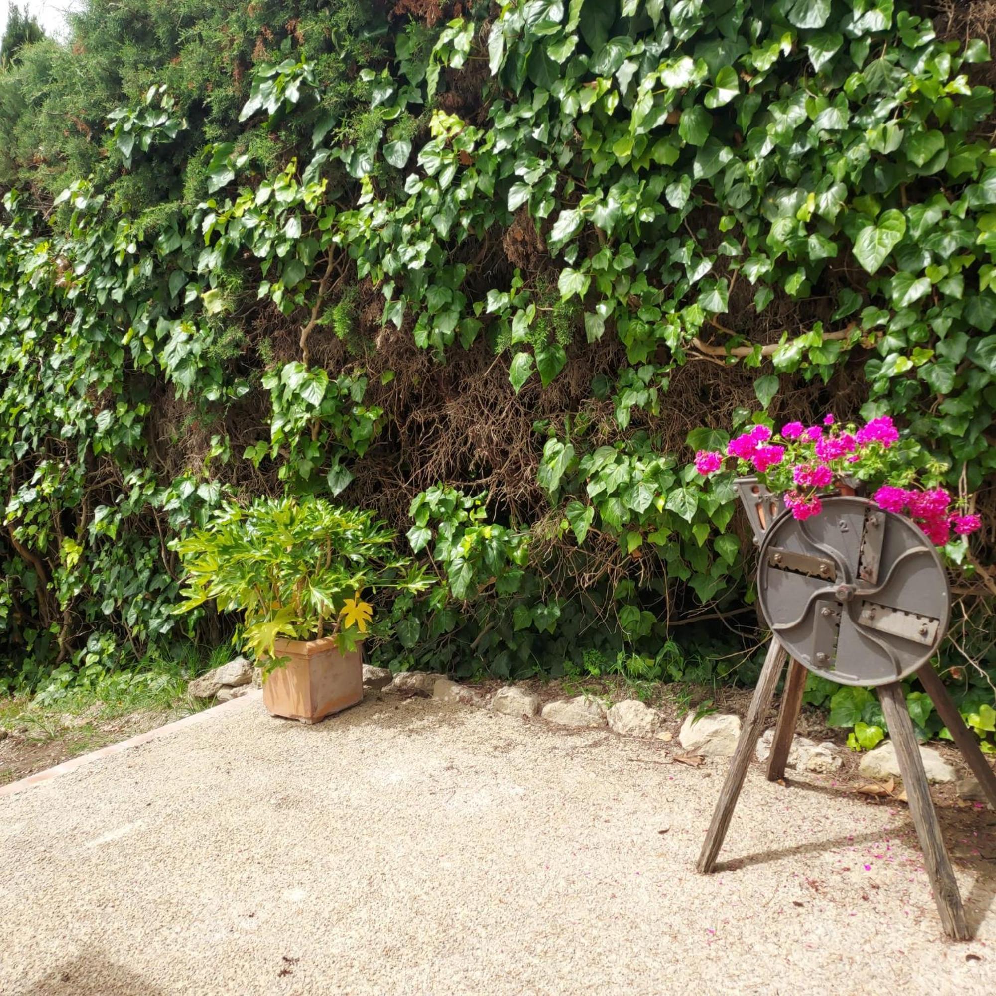 Agriturismo Il Colle Siena Kültér fotó