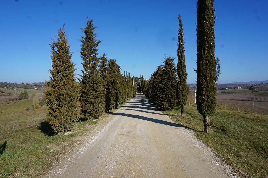 Agriturismo Il Colle Siena Kültér fotó