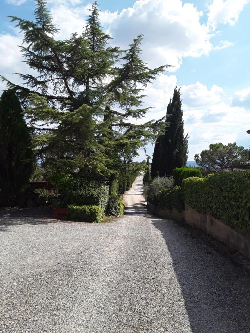 Agriturismo Il Colle Siena Kültér fotó